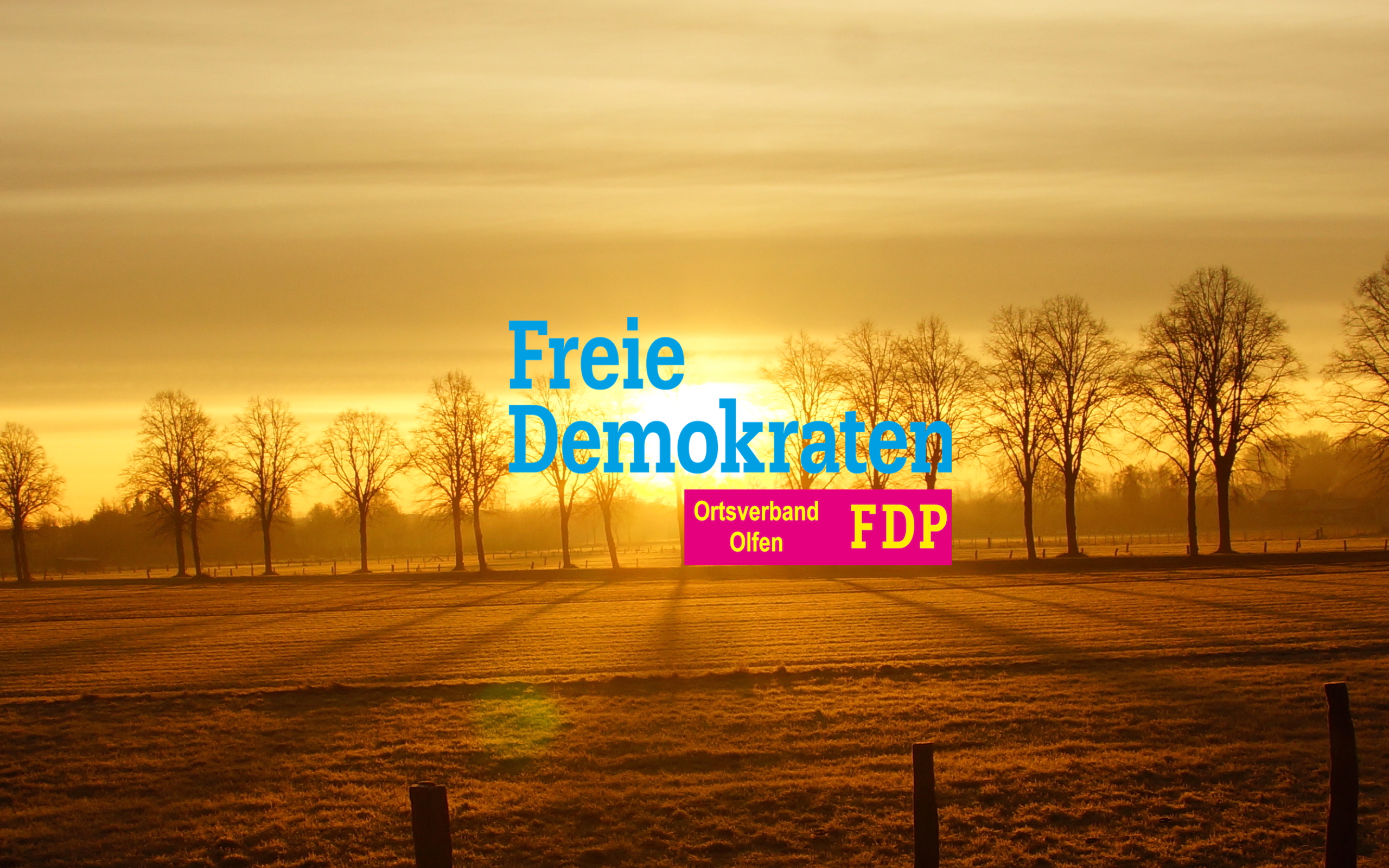 (c) Fdp-olfen.de